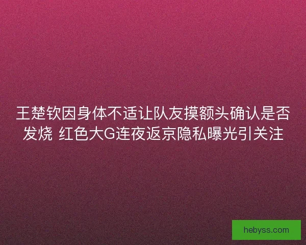 王楚钦因身体不适让队友摸额头确认是否发烧 红色大G连夜返京隐私曝光引关注