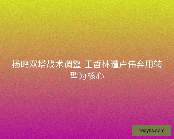 杨鸣双塔战术调整 王哲林遭卢伟弃用转型为核心